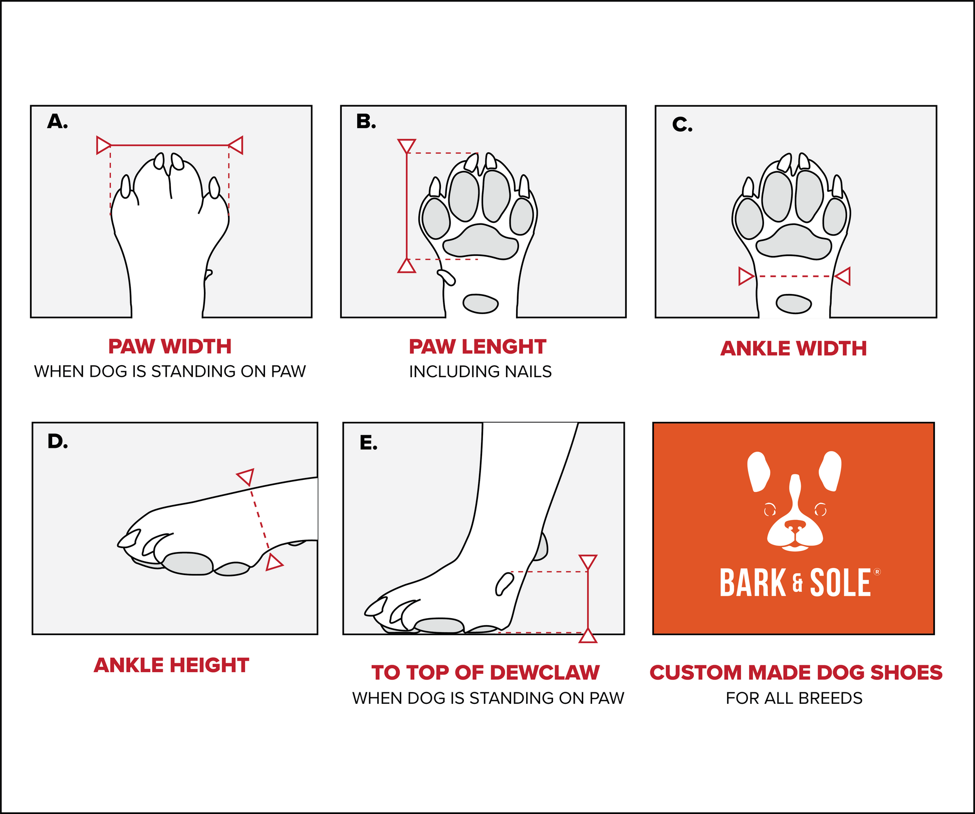 Custom made dog shoes. The required measurements for that perfect custom made dog shoe fit