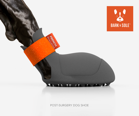 Gray post-surgery orthopedic dog shoe with orange bandage and 'Bark & Sole' logo on a white background