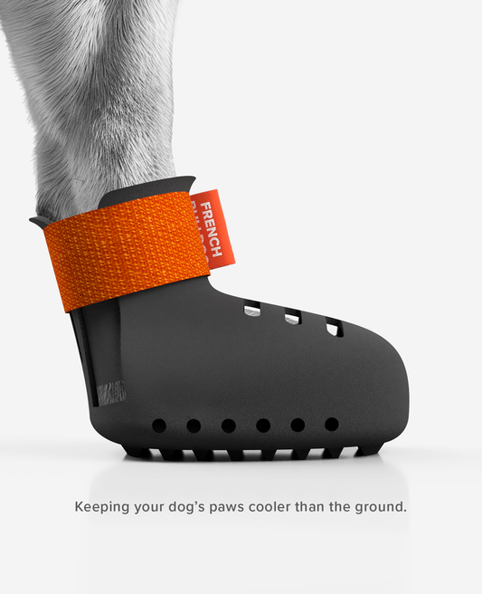Custom made summer dog boots. Ventilation in the shoes.