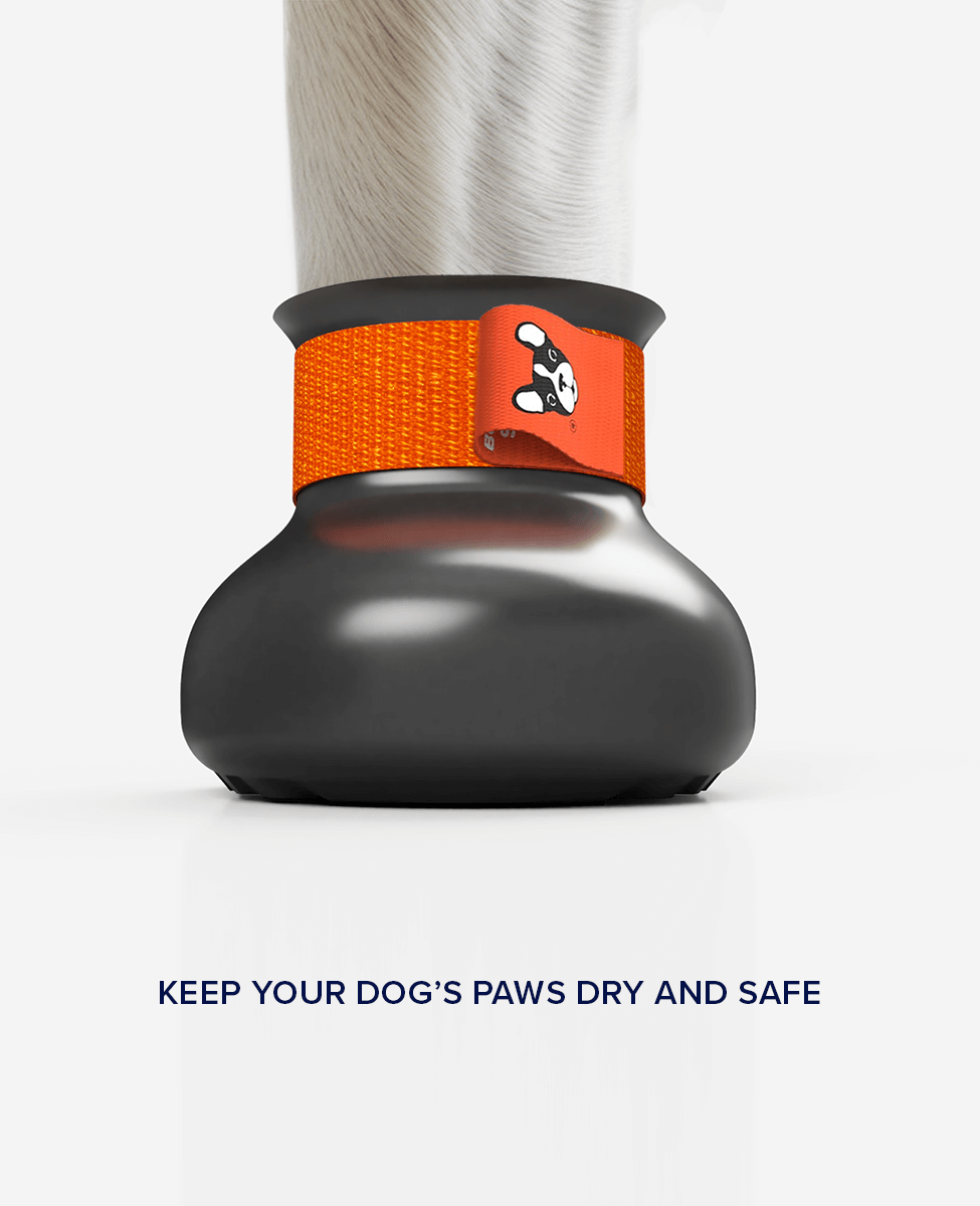 BARK and SOLE protective custom dog shoe front view