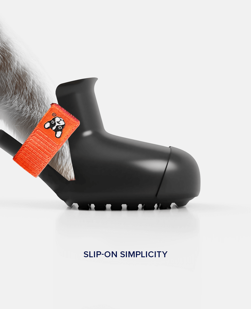 BARK and SOLE custom dog shoes slip on easil