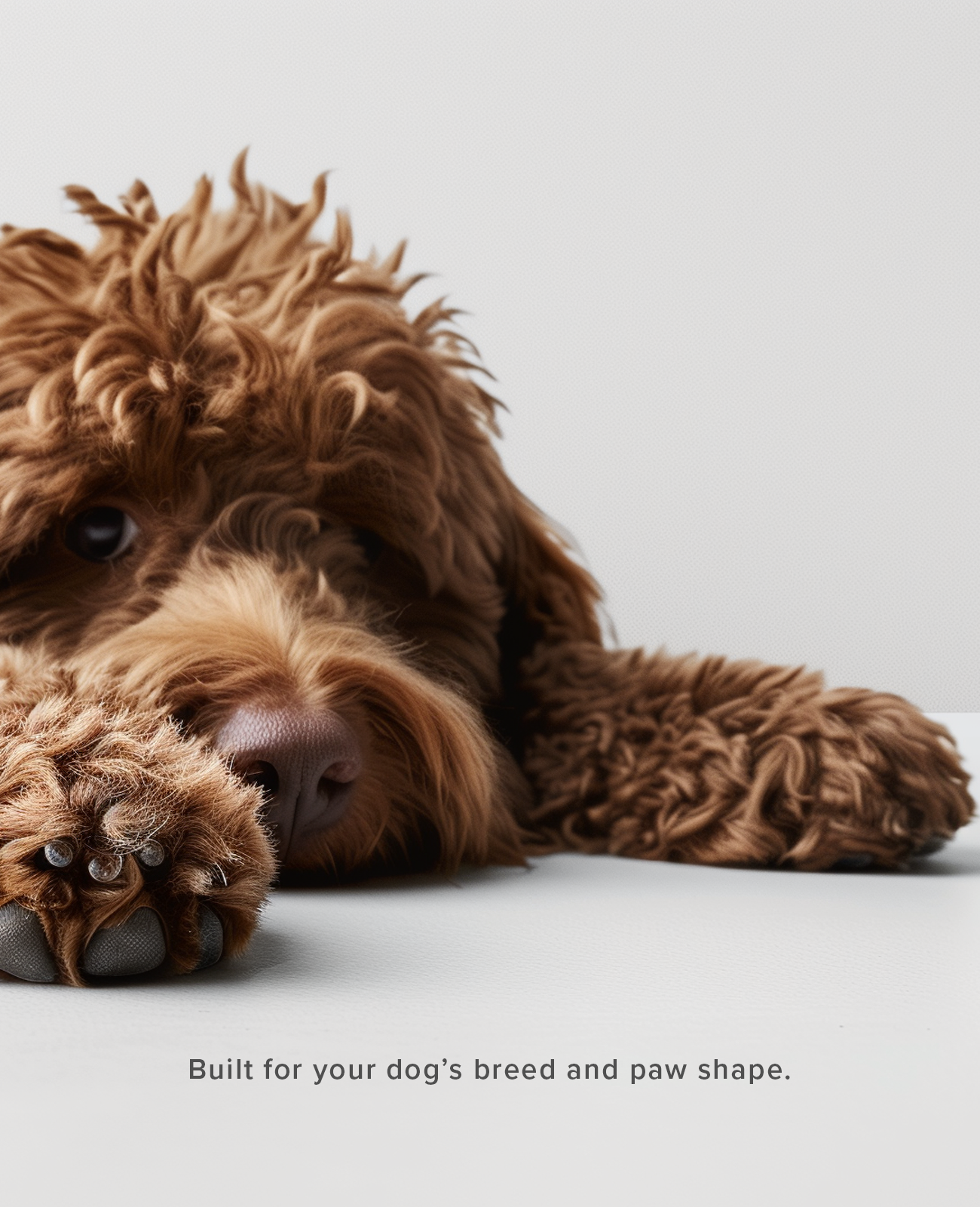 Brown dog lying on a light gray surface with text 'Built for your dog's breed and paw shape.'