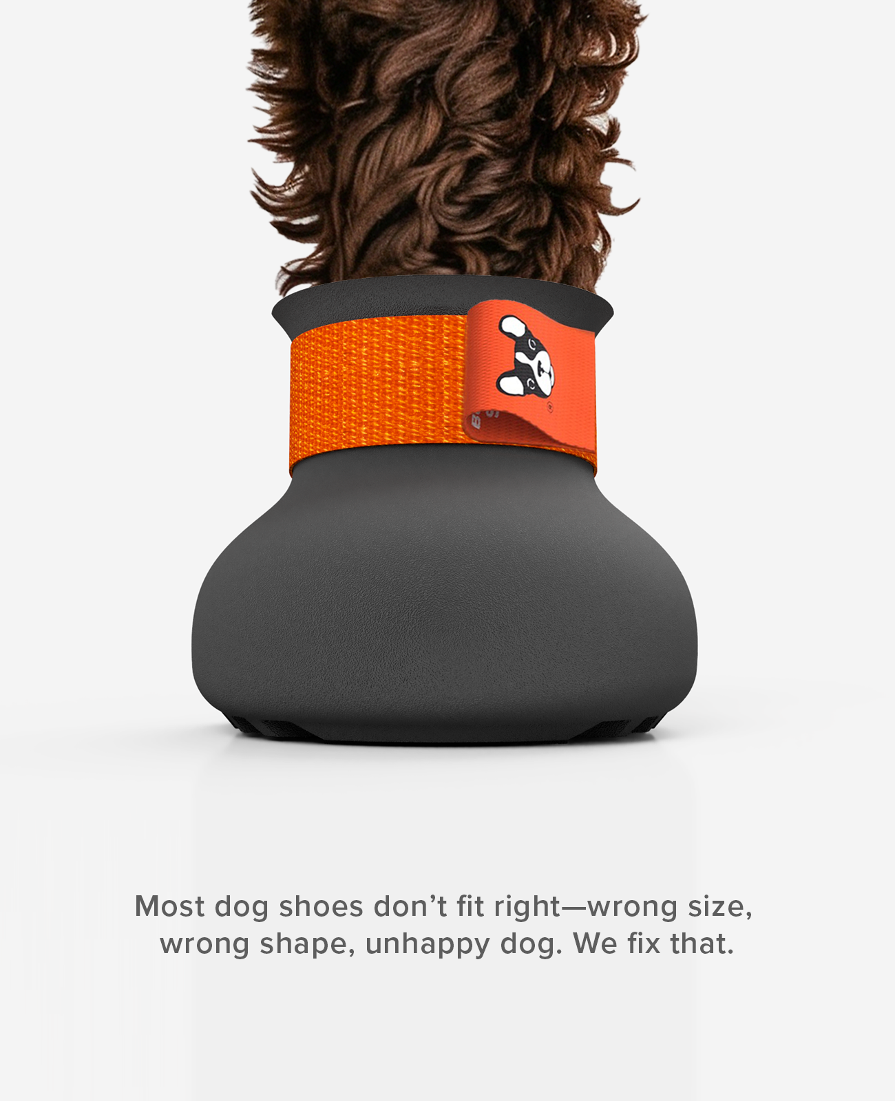 PROTECTIVE Dog Shoe