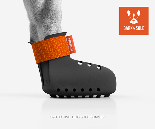 Protective summer dog shoe with orange strap and 'Bark & Sole' branding on a white background