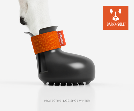 Black protective winter dog shoe with orange strap and 'Bark & Sole' logo on a white background