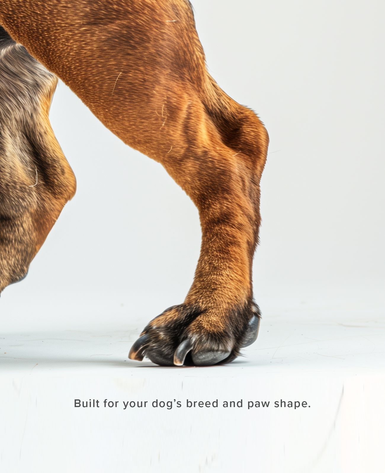 Custom summer dog shoes built for your dog's breed and paw shape