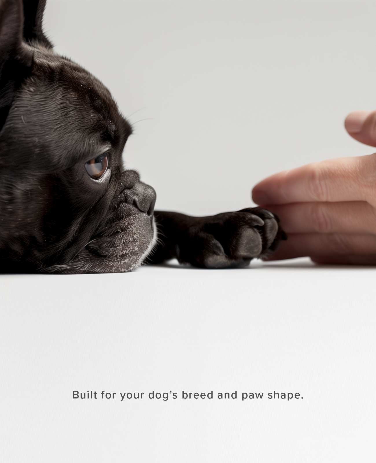 Custom winter dog shoes built for your dog's breed and paw shape