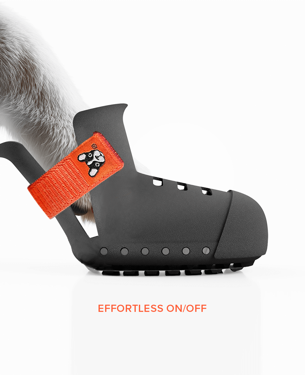 Custom dog shoes are efforless on/off