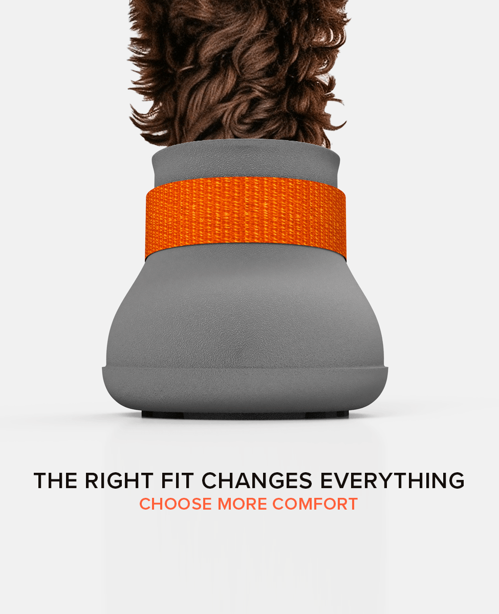 BARK & SOLE dog shoe front