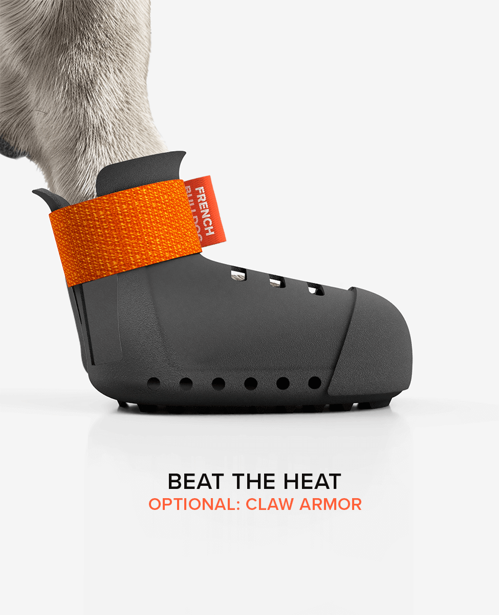 BARK & SOLE summer custom dog shoe side view