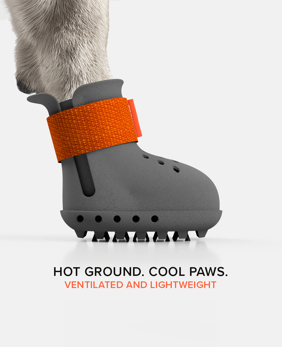 BARK & SOLE summer dog shoe side