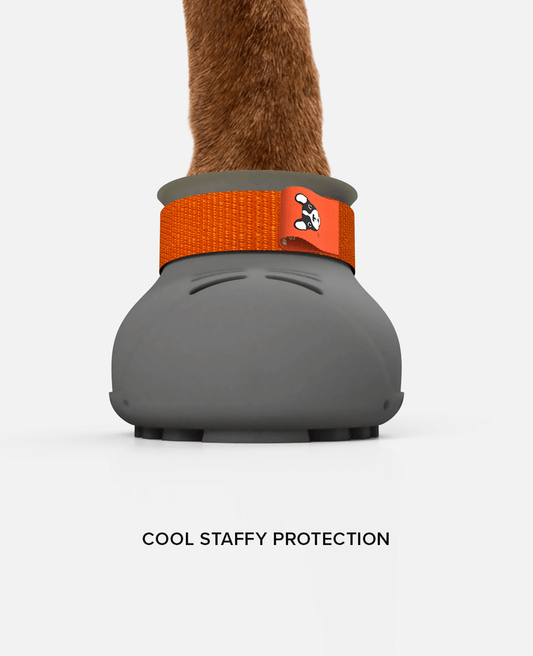 BARK & SOLE custom staffy summer dog shoe front