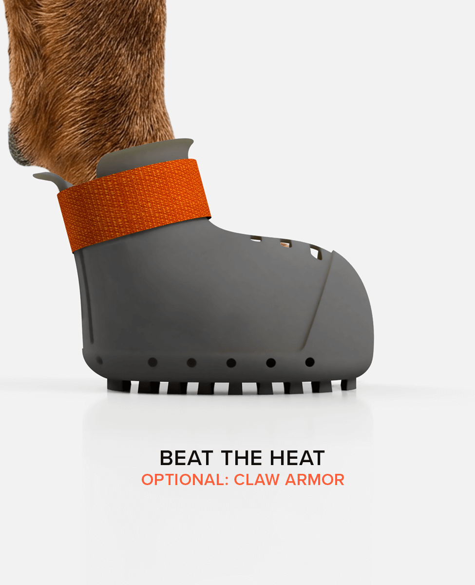 BARK & SOLE custom staffy summer dog shoe side