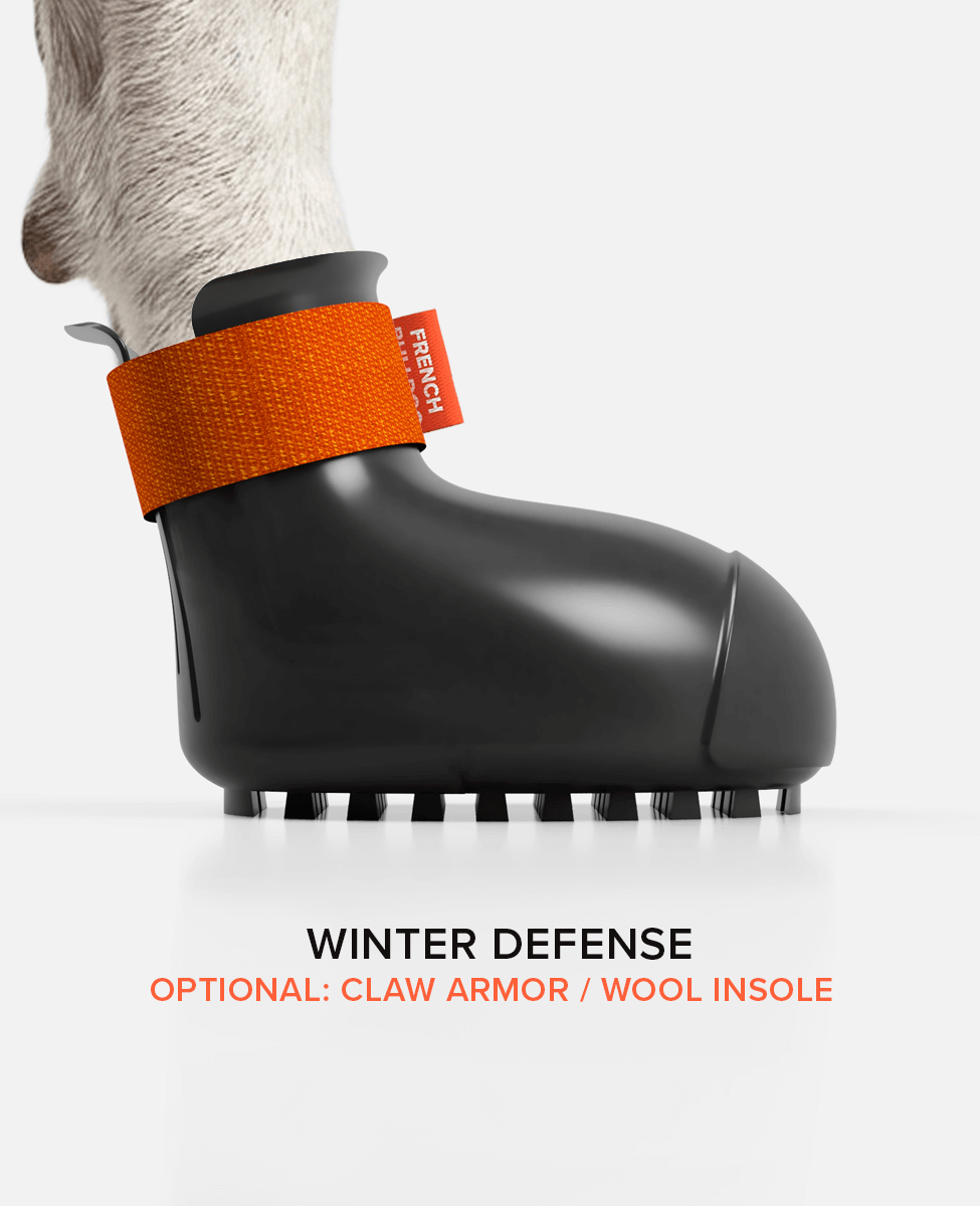 BARK & SOLE custom staffy winter dog shoe side