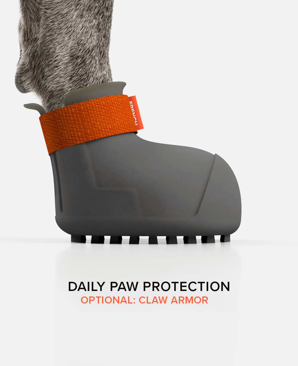 BARK & SOLE custom staffy dog shoe side