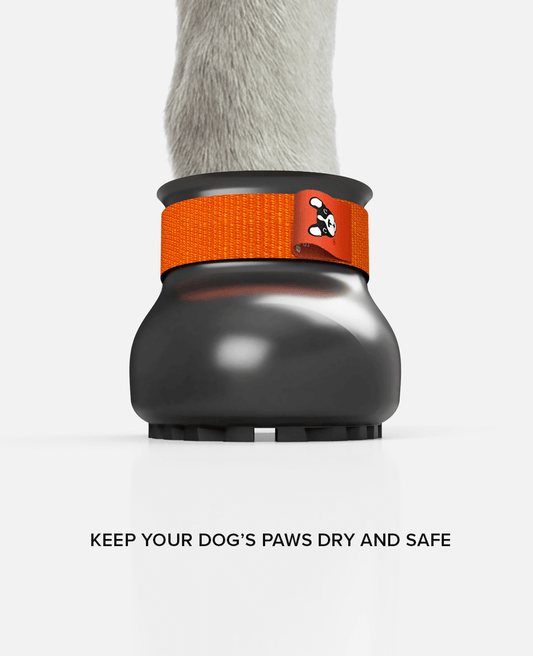 BARK & SOLE custom staffy winter dog shoe front