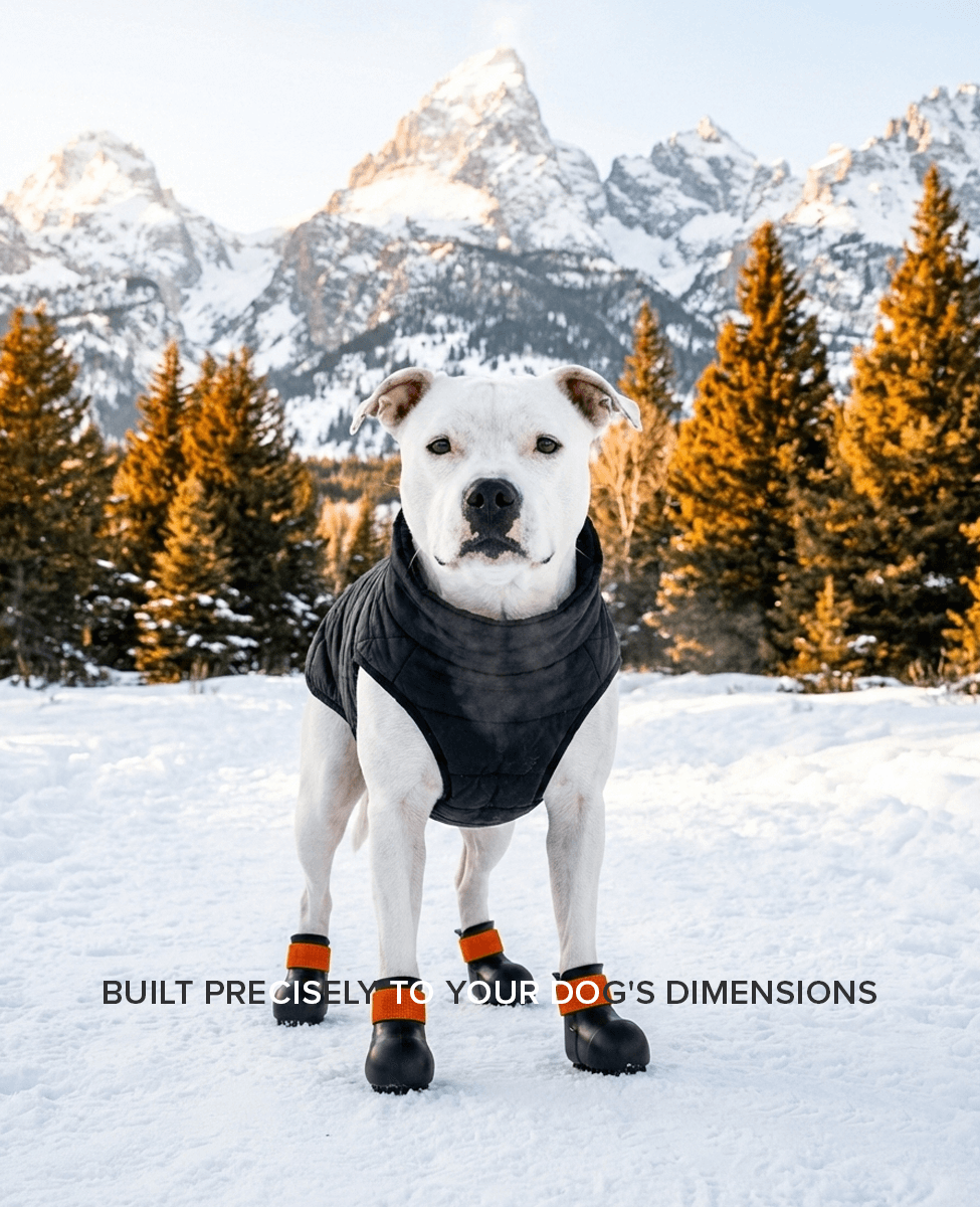 BARK & SOLE staffy winter dog shoes