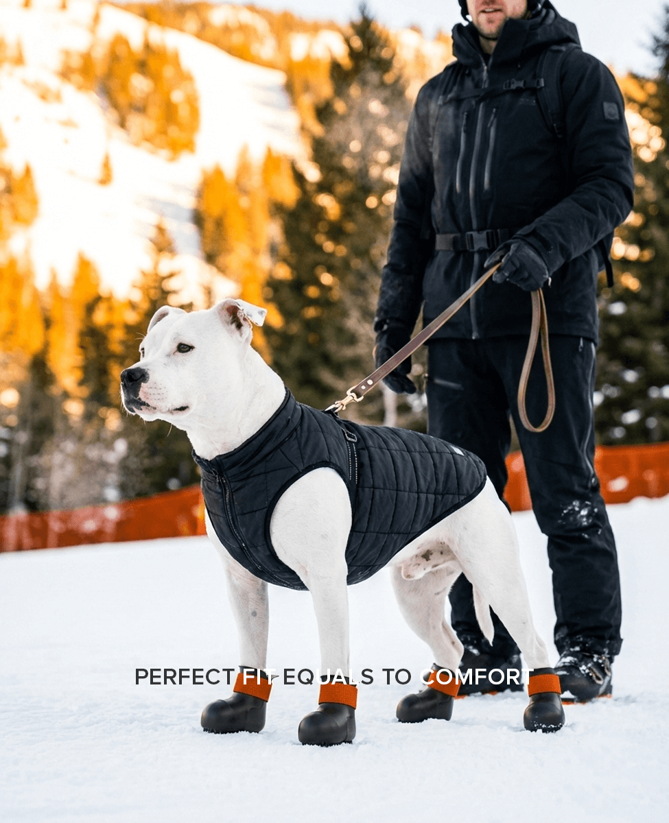 BARK & SOLE staffy winter dog shoes