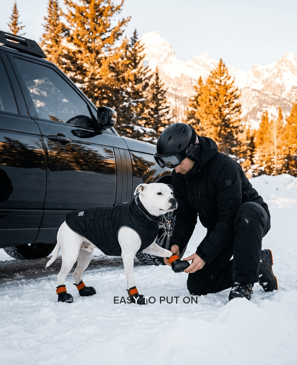 BARK & SOLE staffy winter dog shoes