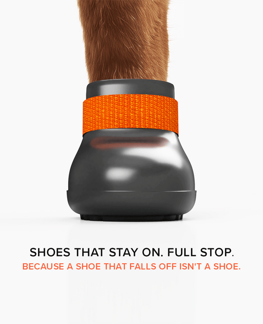 BARK & SOLE winter dog shoes front