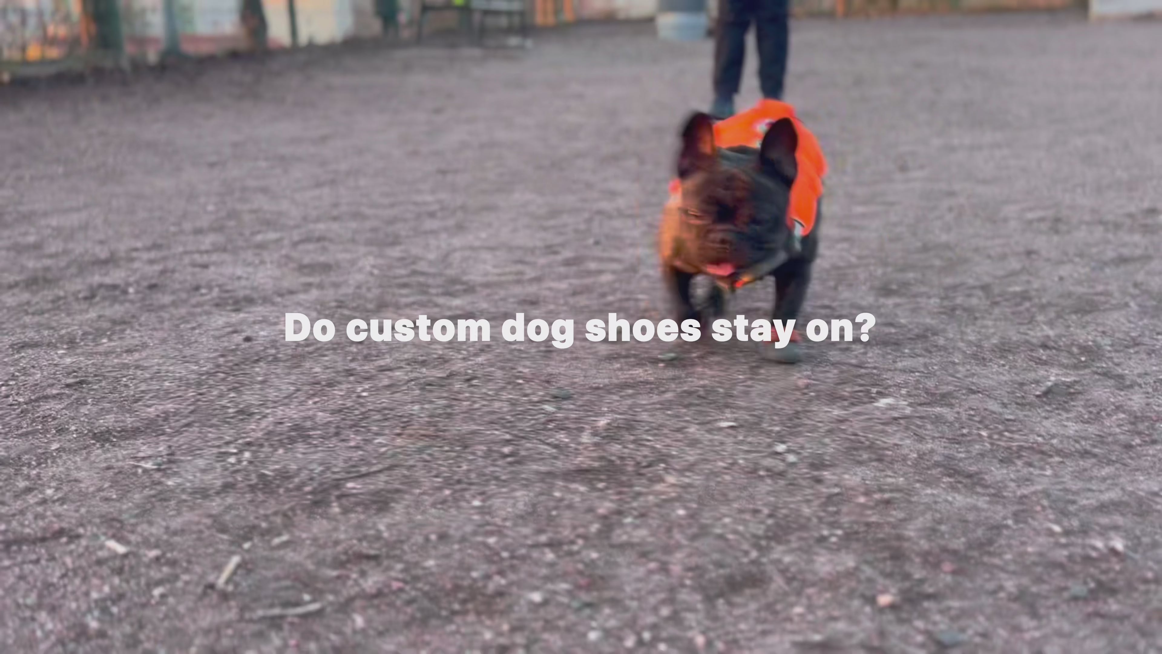Load video: Why custom dgo shoes tay on