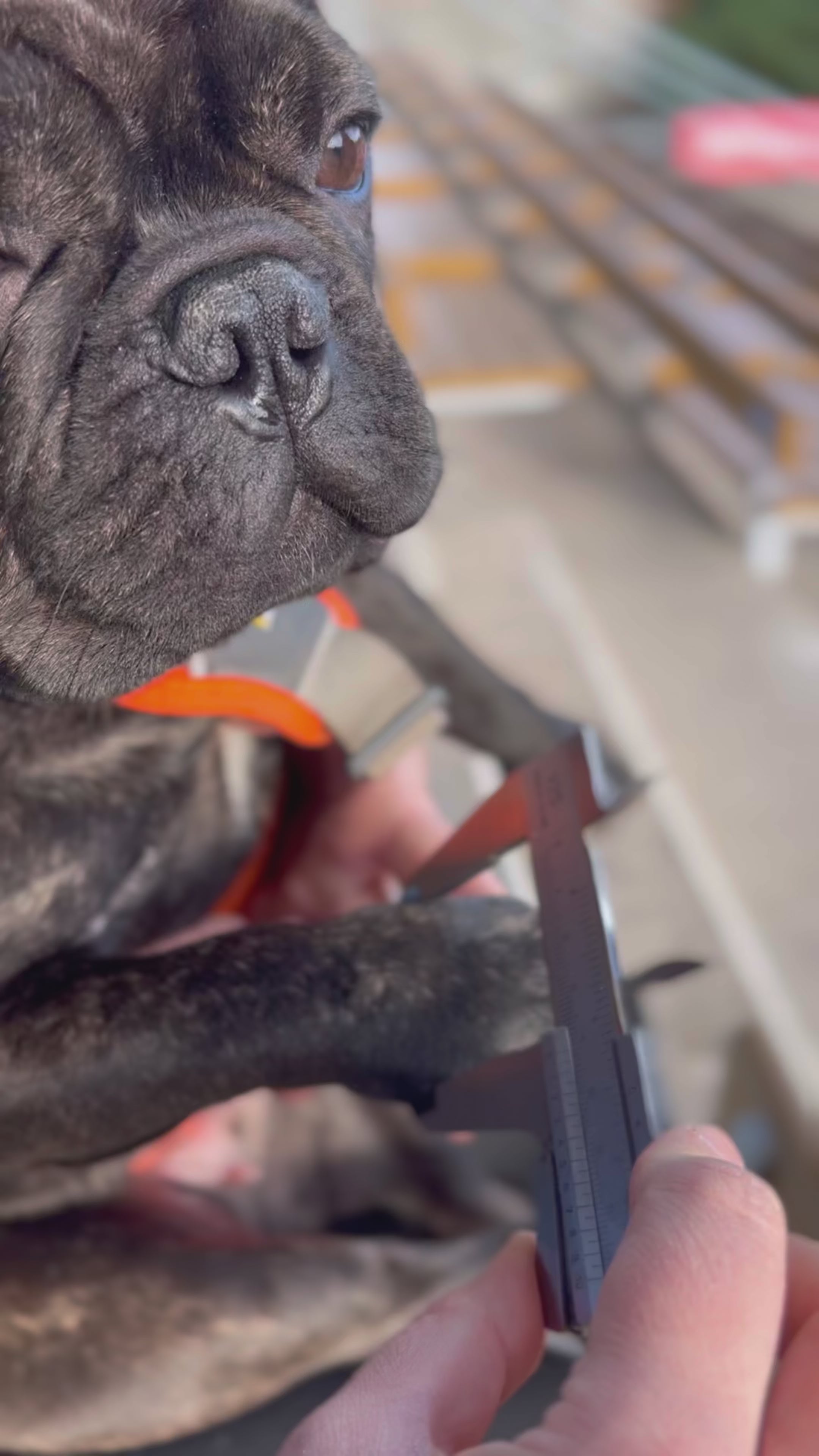 Load video: How to take take the C and D measurements 